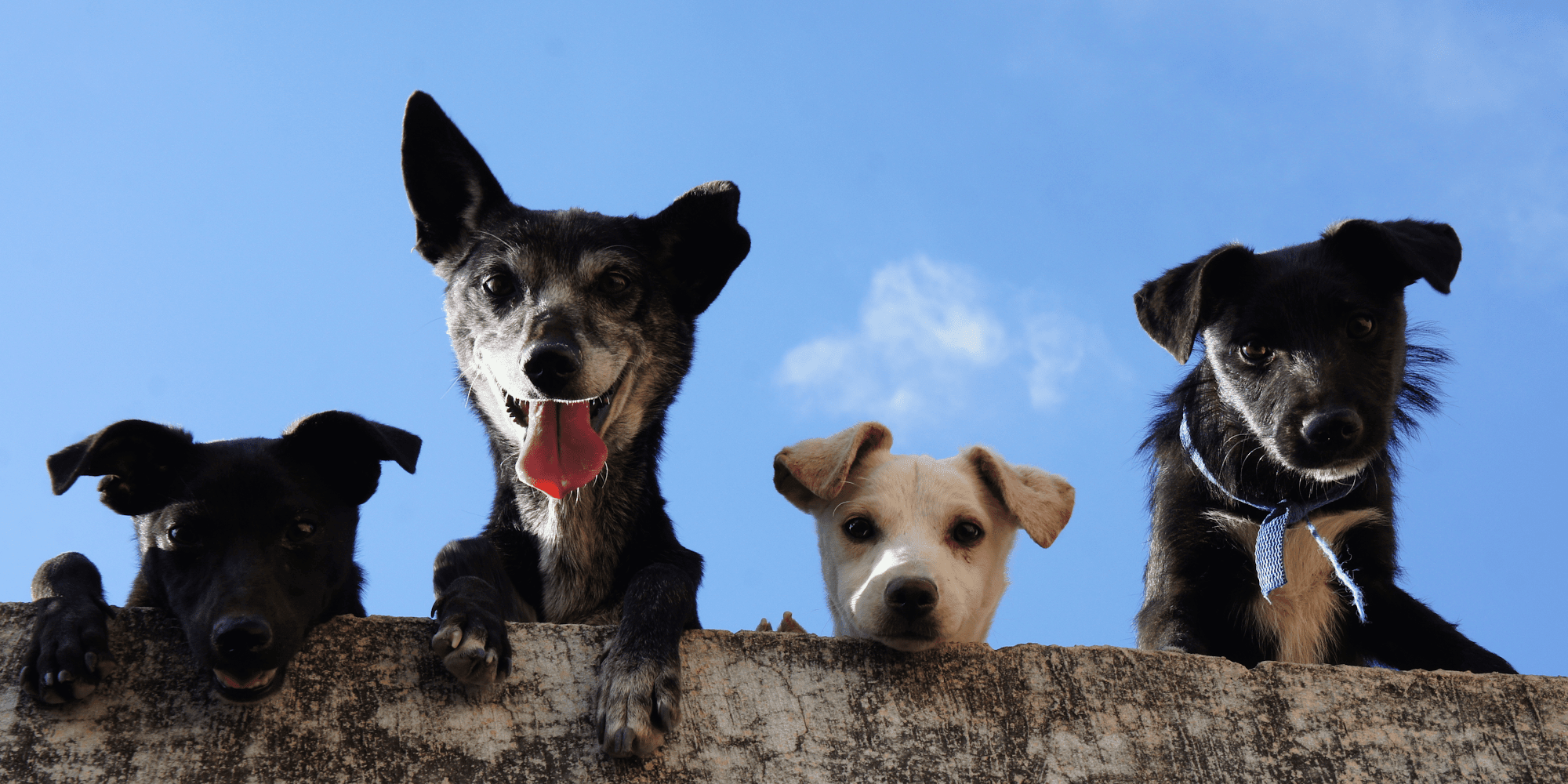 Image produit - Banner-4